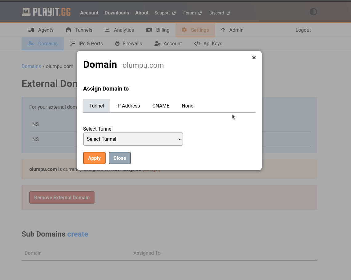 playit domain added